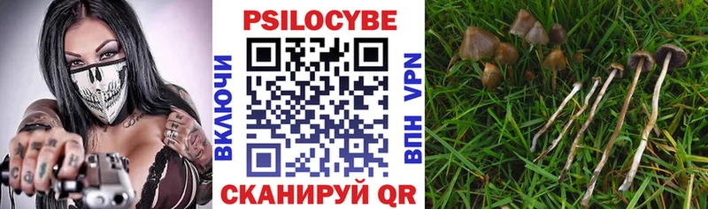 Псилоцибиновые грибы ЛСД  ОМГ ОМГ маркетплейс  дарк нет Telegram  купить  цена  Новосибирск 